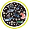 Glow Stars & Sea Creatures or Dinosaurs
