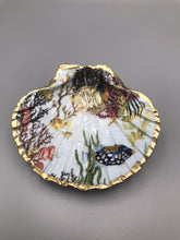 Hand Decoupaged Scallop Shells - Made by V