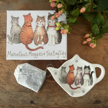 Alex Clark Teapots & Teabag Tidies