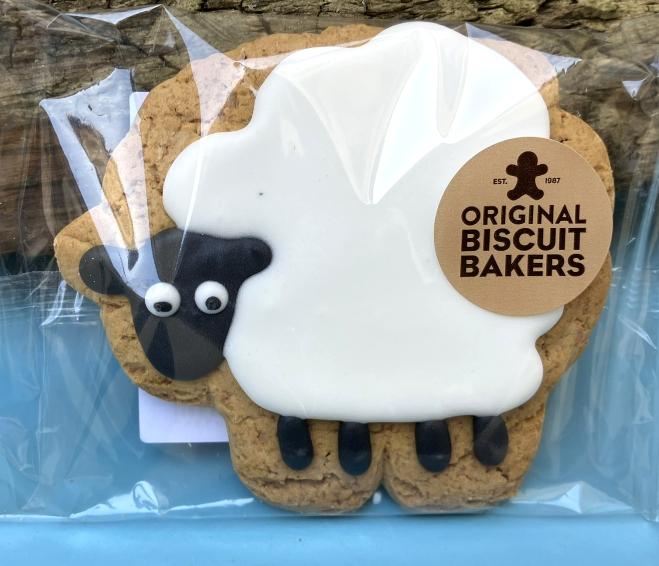 Dinosaur and Farm Ginger Biscuits