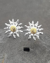 Blue Lily 925 Sterling Silver Earrings