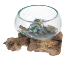 Driftwood & Glass Bowls and Vases