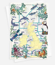 Hannah Wisdom Cards & Coasters