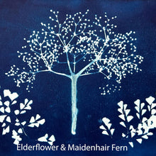 Cyanotype Printing Prints & Cards