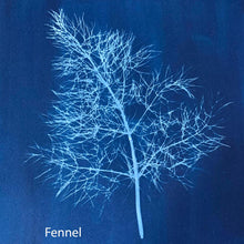 Cyanotype Printing Prints & Cards