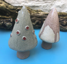 John Hilder Toadstools