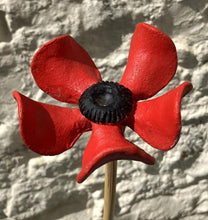 John Hilder Poppy Seed Heads & Poppies