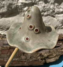 John Hilder Toadstools on Sticks