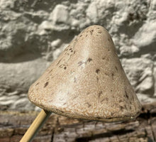John Hilder Toadstools on Sticks