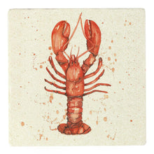 Meg Hawkins Stone Sealife Coasters