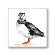 Meg Hawkins Stone Sealife Coasters