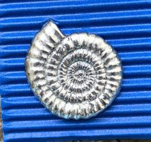 Pageant Pewter Pin Badges & Pin Ups
