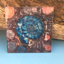 SusieC Ammonite Explosion Tableware