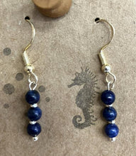 The Driftwood Seahorse Earrings
