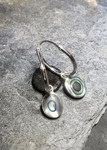 Blue Lily 925 Sterling Silver Earrings