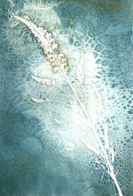Cyanotype Printing Prints & Cards