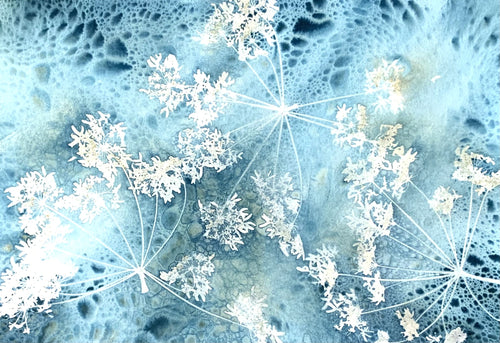 Cyanotype Printing Prints & Cards