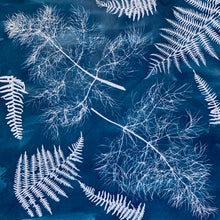 Cyanotype Printing Prints & Cards