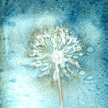 Cyanotype Printing Prints & Cards