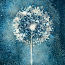 Cyanotype Printing Prints & Cards