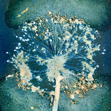 Cyanotype Printing Prints & Cards