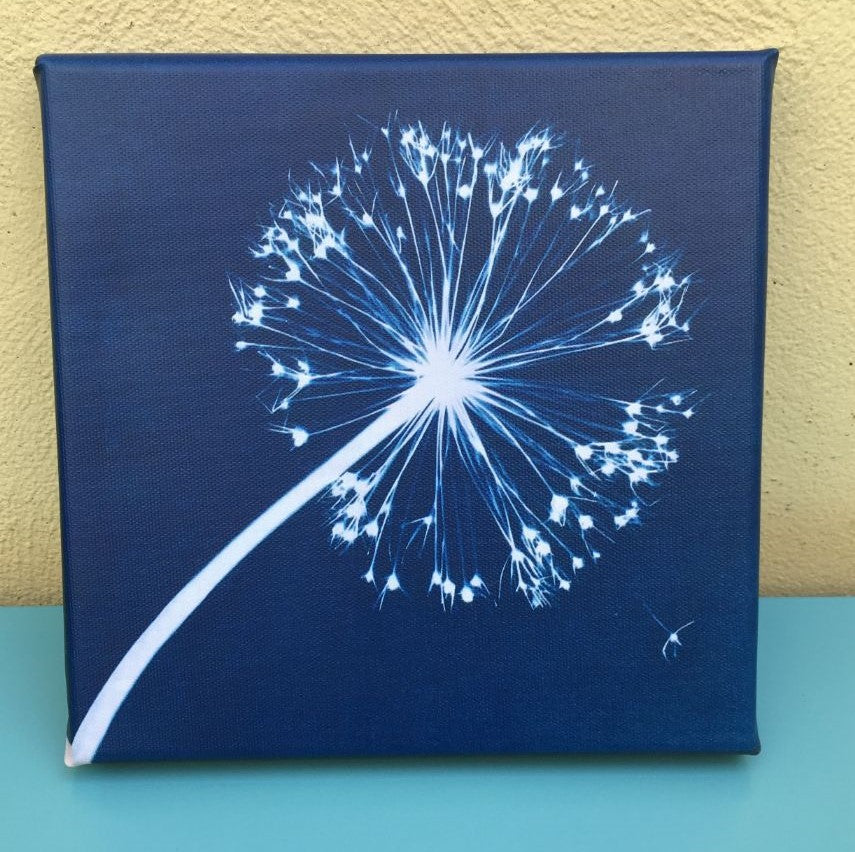 Cyanotype Printing Prints & Cards