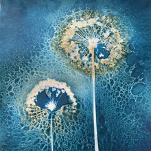 Cyanotype Printing Prints & Cards