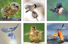 Notecard Packs