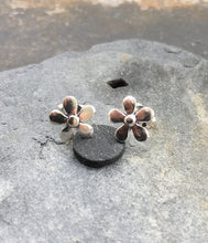 Blue Lily 925 Sterling Silver Earrings