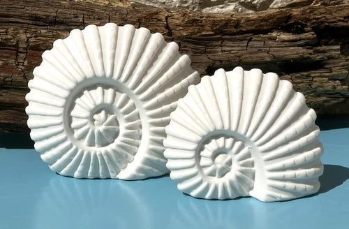 Lighthouse, Beach Hut & Ammonite LED Lights