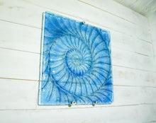 Glass Relief - Ammonite Panels & Frame