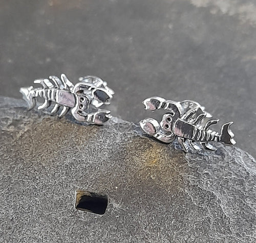 Blue Lily 925 Sterling Silver Earrings