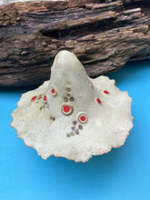 John Hilder Toadstools