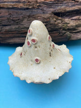 John Hilder Toadstools