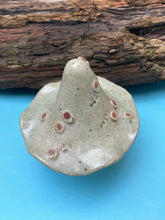 John Hilder Toadstools