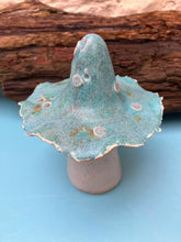 John Hilder Toadstools