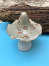 John Hilder Toadstools
