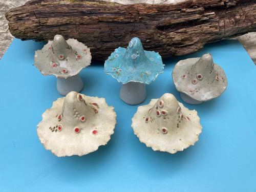 John Hilder Toadstools