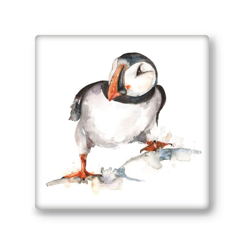 Meg Hawkins Stone Sealife Coasters