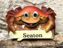 Seaton Magnets