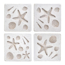 Shell Imprint Coasters & Picture Frames