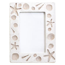 Shell Imprint Coasters & Picture Frames