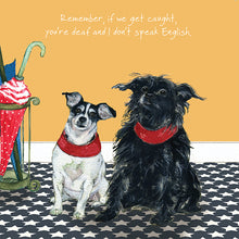 The Little Dog Laughed Dog & Cat Cards