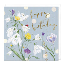 Whistlefish Birthday Cards