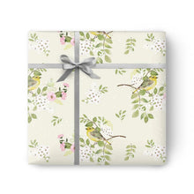 Whistlefish Wrapping Paper Packs