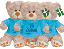 Teddy Bears in a Devon Jumper
