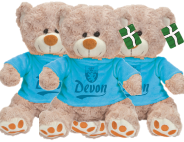 Teddy Bears in a Devon Jumper