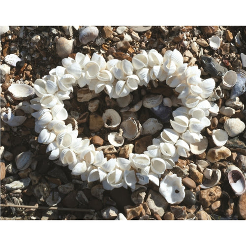 Cockle Shell Heart Wreath