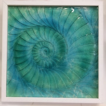 Glass Relief - Frames Ammonite