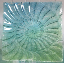Glass Relief - Ammonite Panels